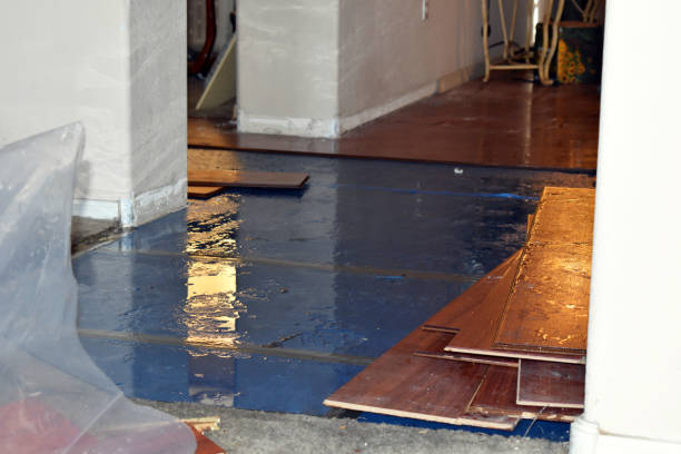Professional Burst Pipe Cleanup technician working in Jamestown, ND
